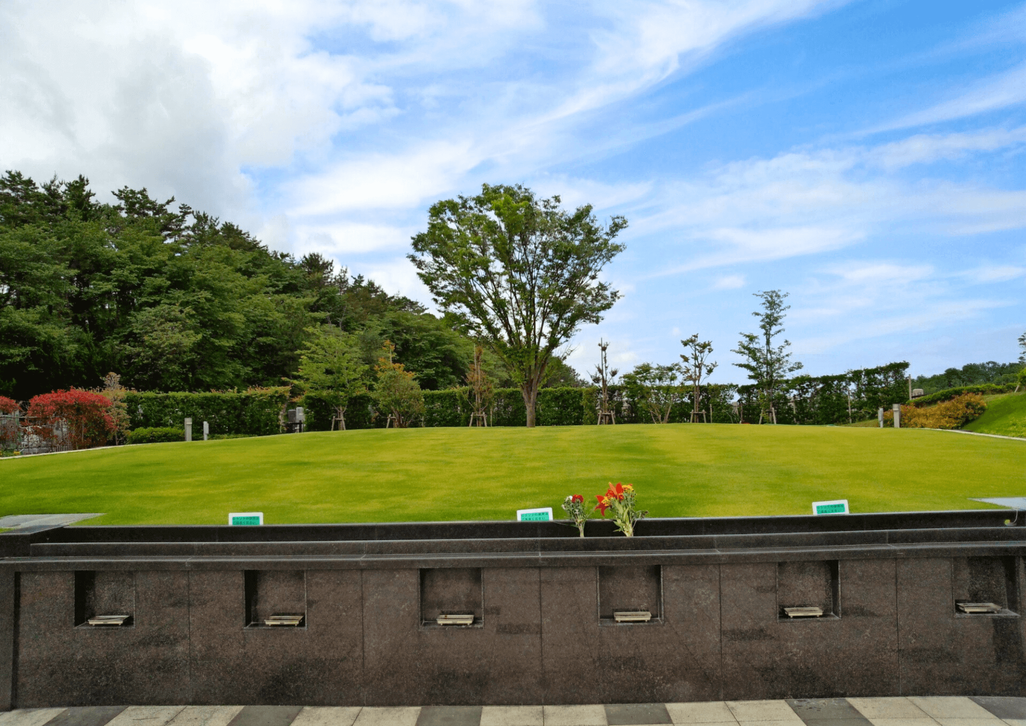 芝生に囲まれた自然豊かな樹木葬の埋葬地の風景