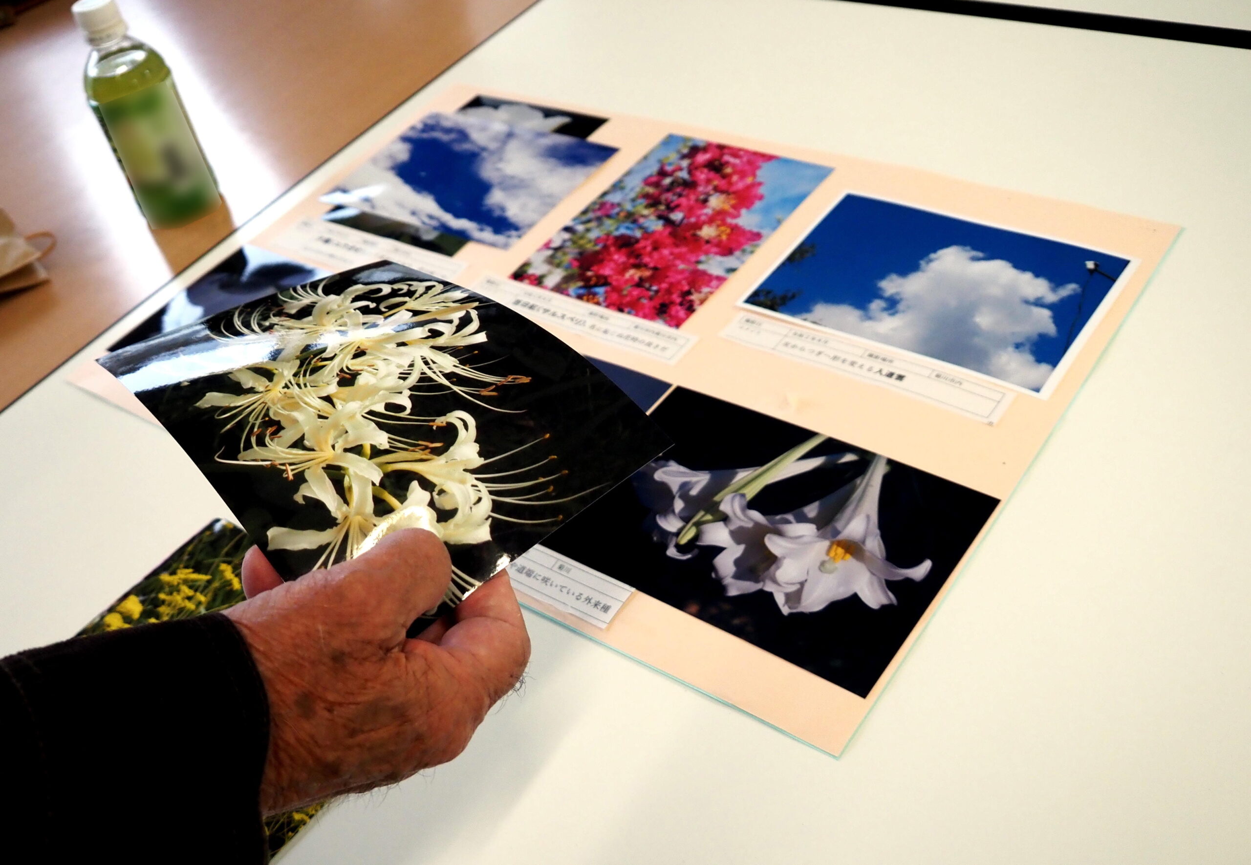 可児市で遺品整理で、処分の判断が困難な思い出の写真を整理する