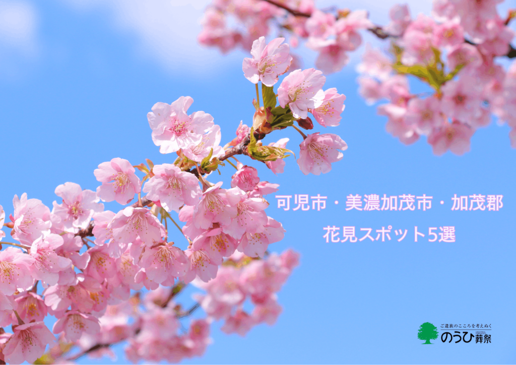 可児市と美濃加茂市と加茂郡でおすすめの桜が満開の花見スポットの風景